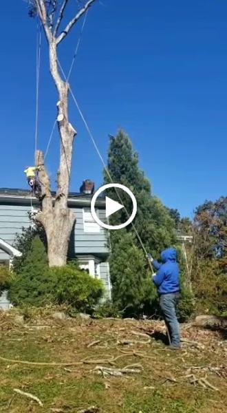P.j.r Landscaping & Tree Service Corp