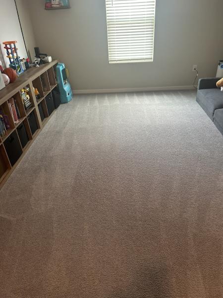 Zerorez Carpet Cleaning