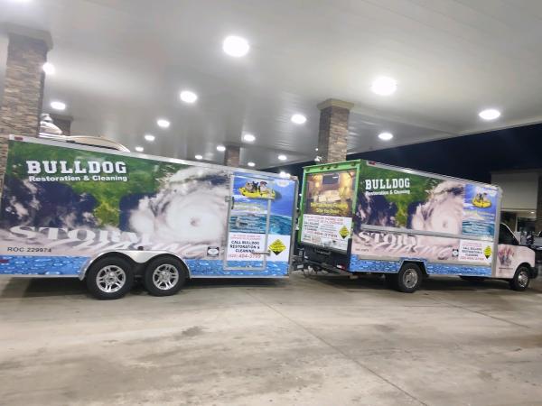 Bulldog Restoration & Cleaning LLC