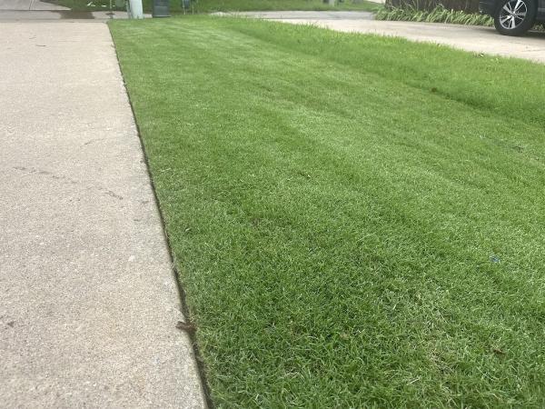 College Fund Landscaping