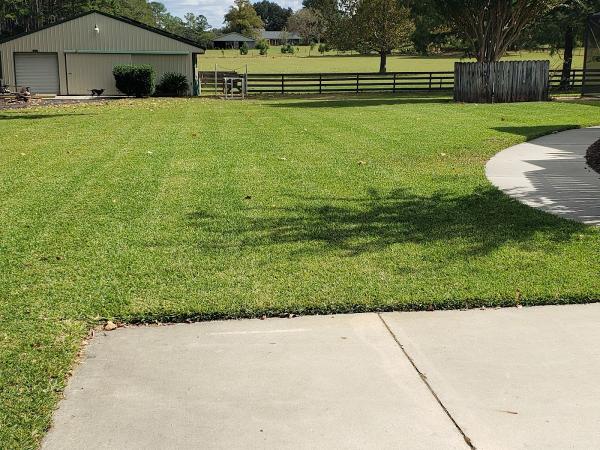 The Master's Lawn & Pest