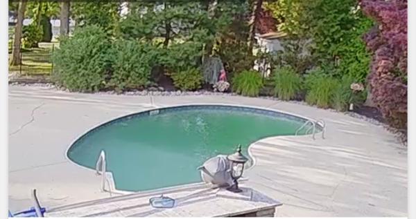 Pro Clean Pressure Wash