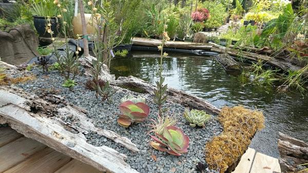 Gardens South Landscape & Design