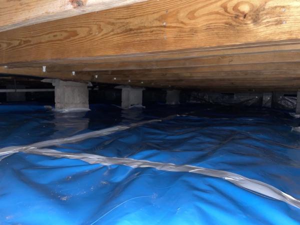 Carolina Mold Solutions LLC