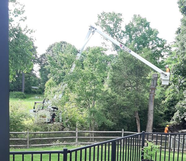 Earnest Tree Service