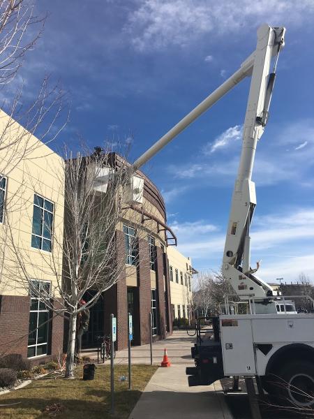 Noah's Park Tree Care