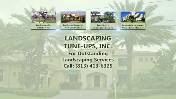 Landscaping Tune-Ups