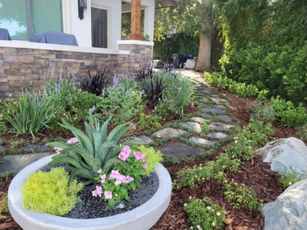 Landscaping Tune-Ups