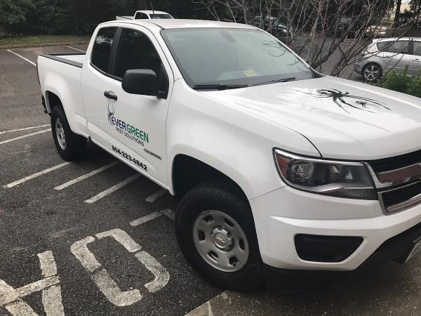 Evergreen Pest Solutions