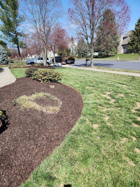 Veso's Lawncare LLC