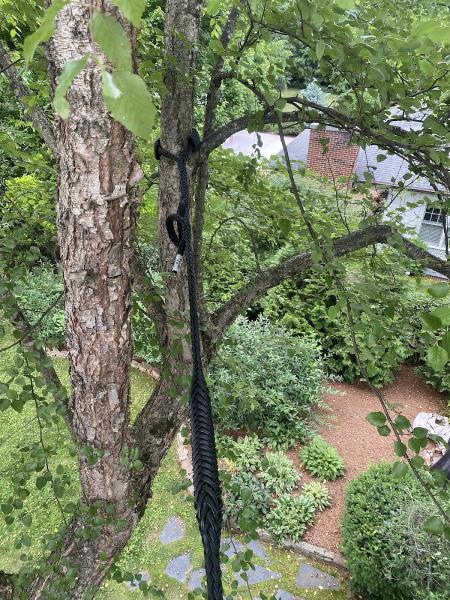 Godspeed Tree Service Inc