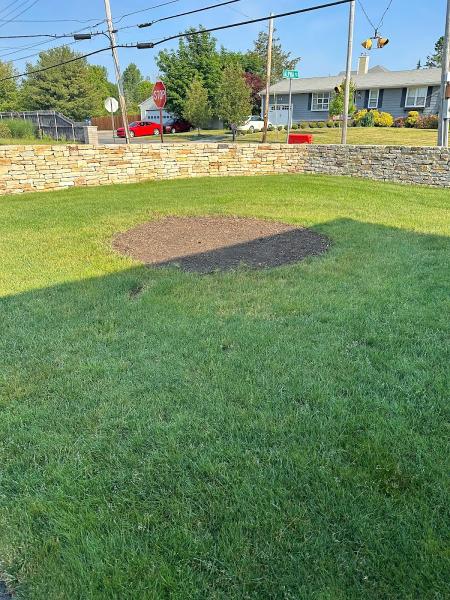 Lamontagne Landscaping and Tree Services LLC