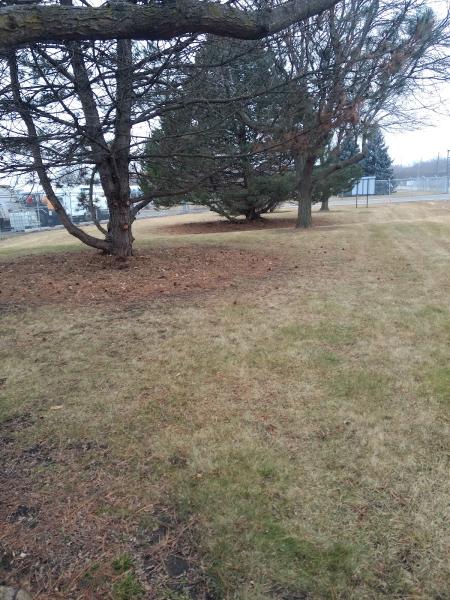 Dc's Lawn and Landscape