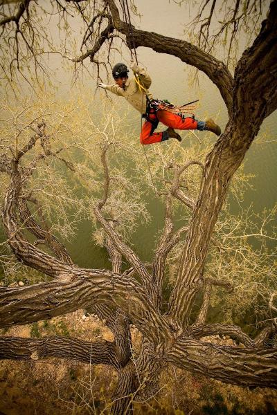 Cutting Edge Tree Care (Lafayette
