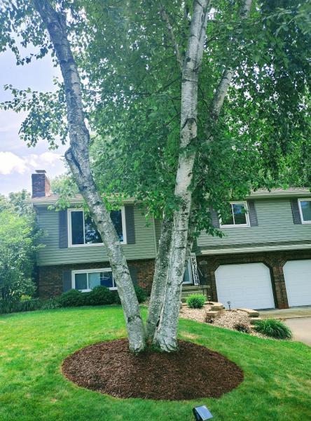 Friske Lawn Care Inc.
