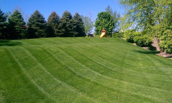 Swift Green Lawn Care