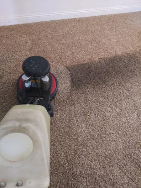 Frank Carpet Cleaning Service