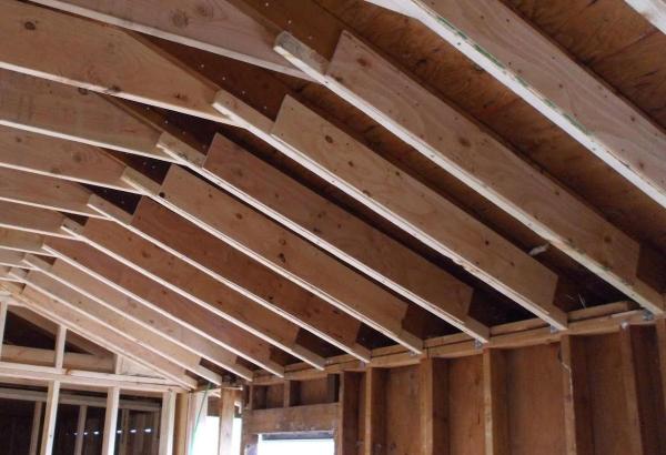 Mold Spotters