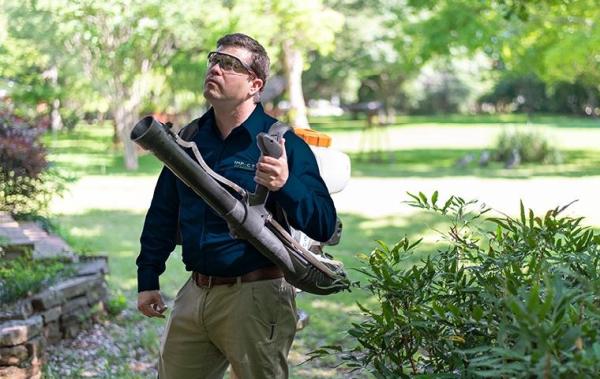 Impact Pest Management
