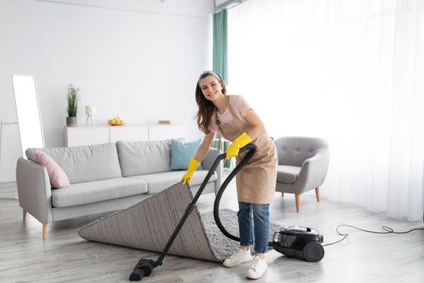 Pro Maids
