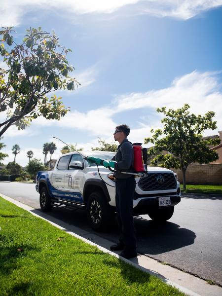 DM Termite and Pest Control