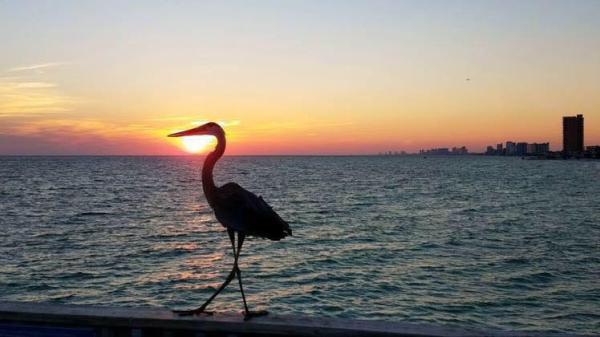Eagle American Realty Group