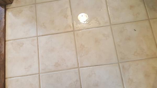 An Angel's Touch Carpet & Upholstery Cleaning Inc.
