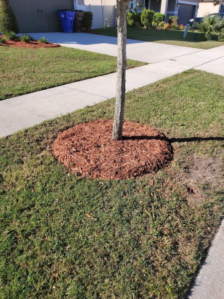 Agl Lawn Care