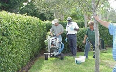 IPM Pest Control