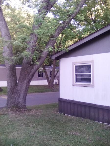 Buck's Tree Service