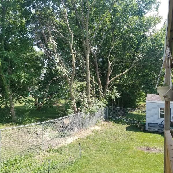 Buck's Tree Service
