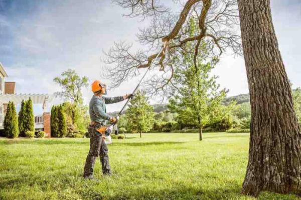 Tree Cutting and Trimming