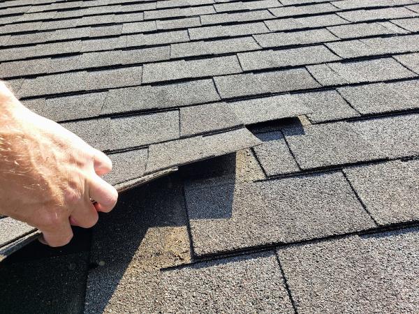 Harmon Inspections