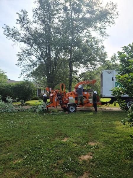 G Professional Tree Service