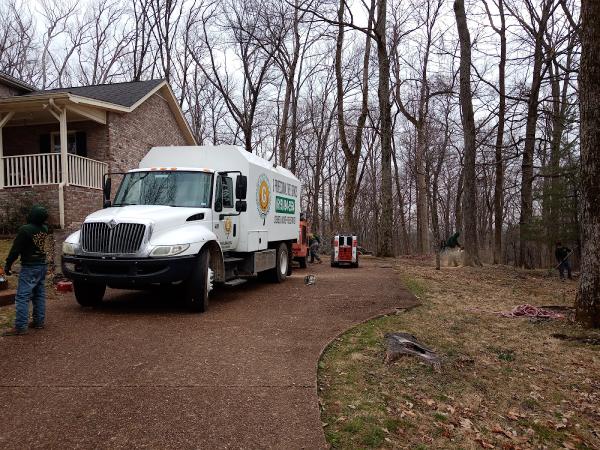 G Professional Tree Service