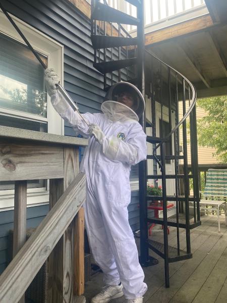 Ladybug Pest Control Services