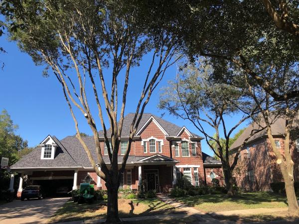 Aims Tree Servicing