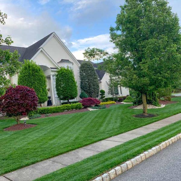Showplace Lawn & Irrigation