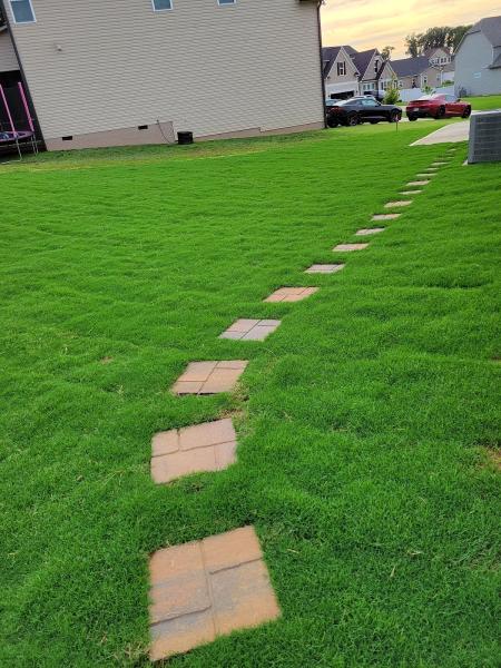 Over the Top Lawn Care