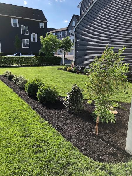 Paradise Plants & Patios