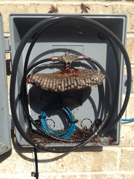 Bioguard Pest Solutions LLC