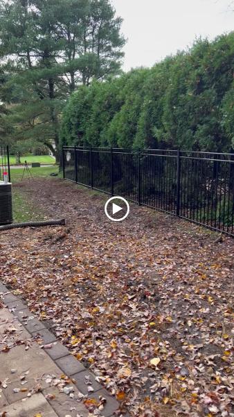 Modern Fence