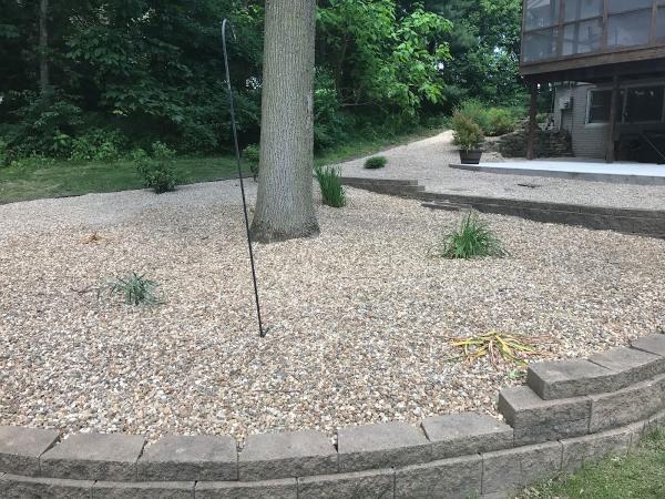 319 Lawn Care