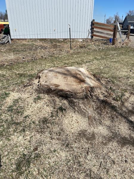 Kraft Stump Grinding