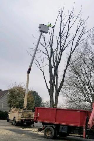 Reece Tree Service LLC