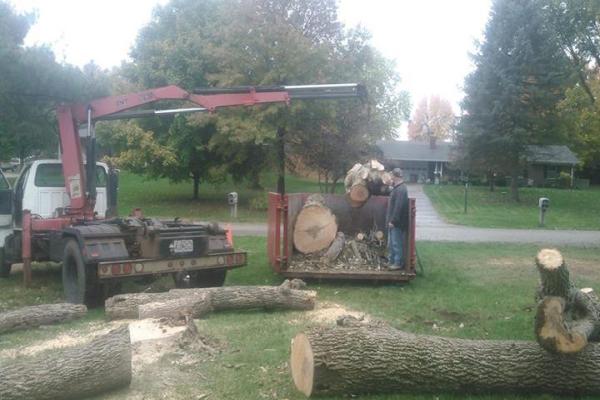 Reece Tree Service LLC