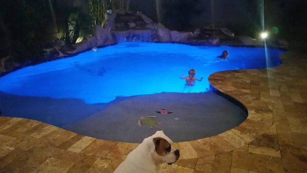 Big Daddy Pools and Spas