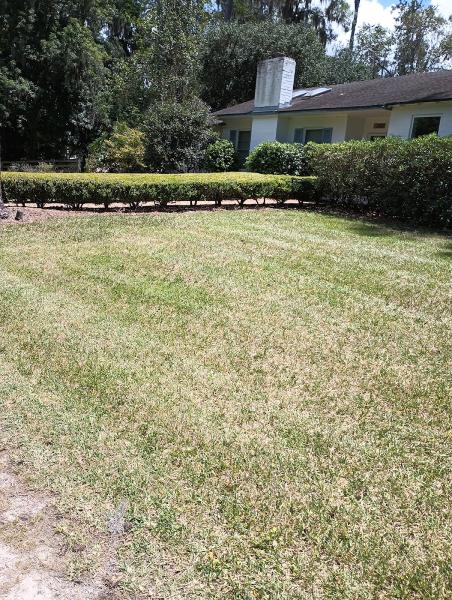 Gainesville Lawnscaping