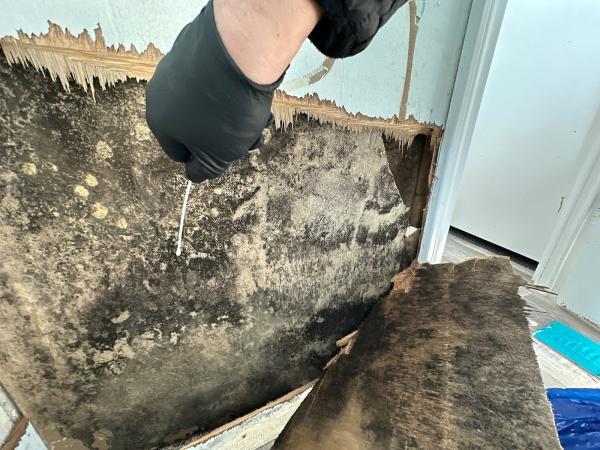 Protocol Mold Testing