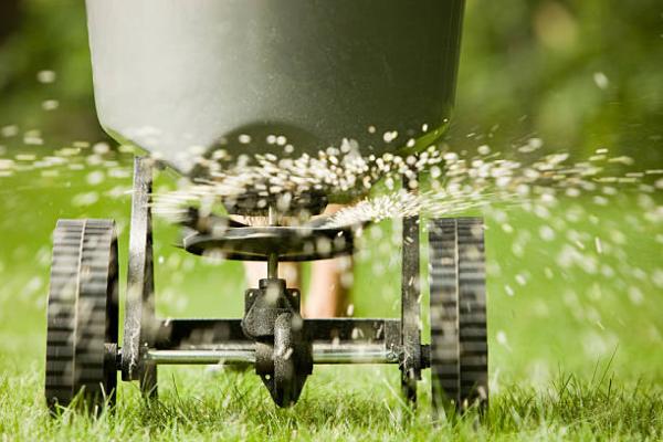 Eckstraordinary Landscaping